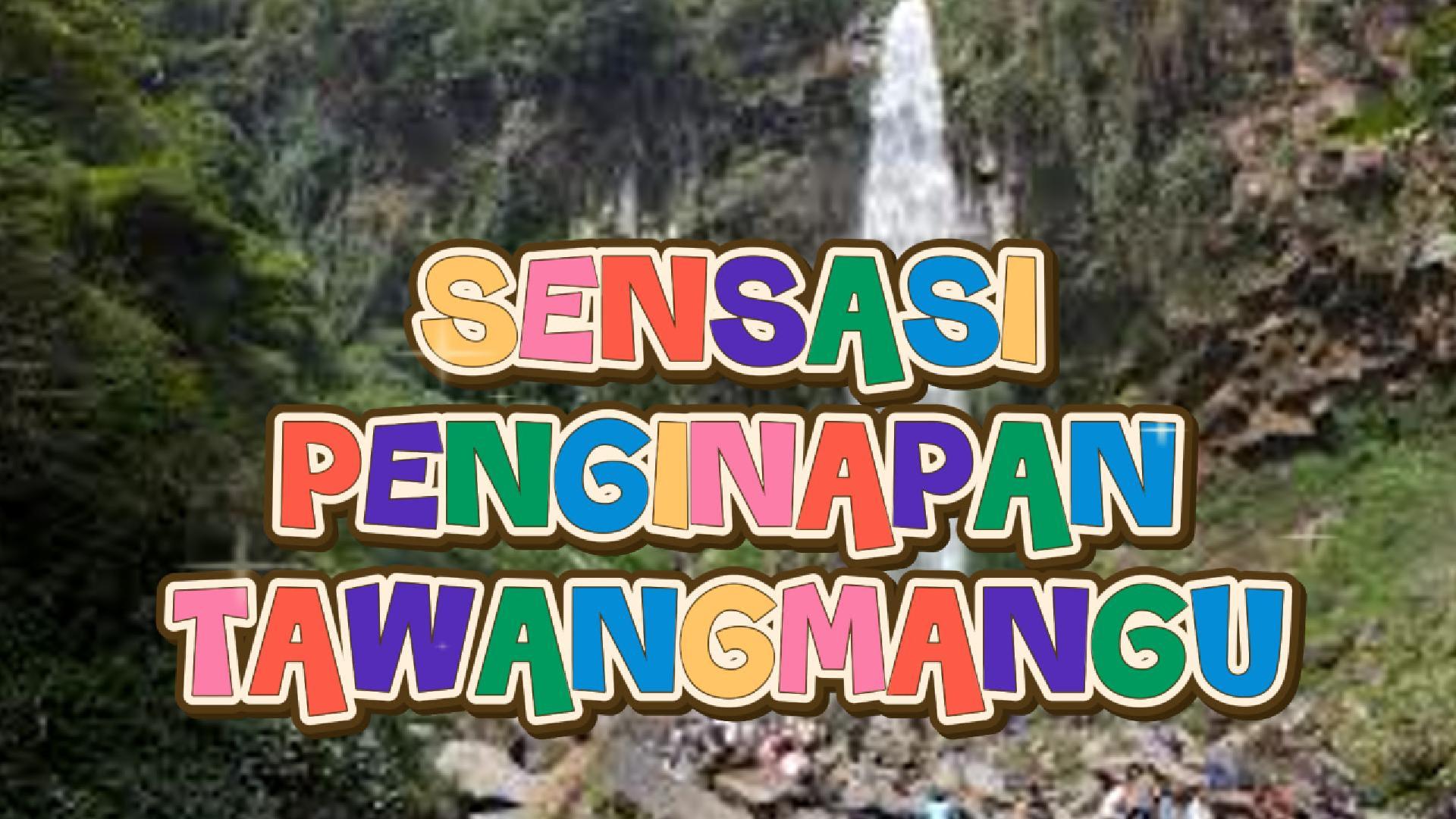 Rasakan Sensasi Penginapan di Lereng Gunung Lawu