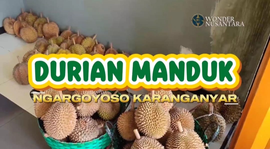 Kampung Durian Manduk Jatirejo: Ketika Durian Lokal Menjadi Kebanggaan Desa