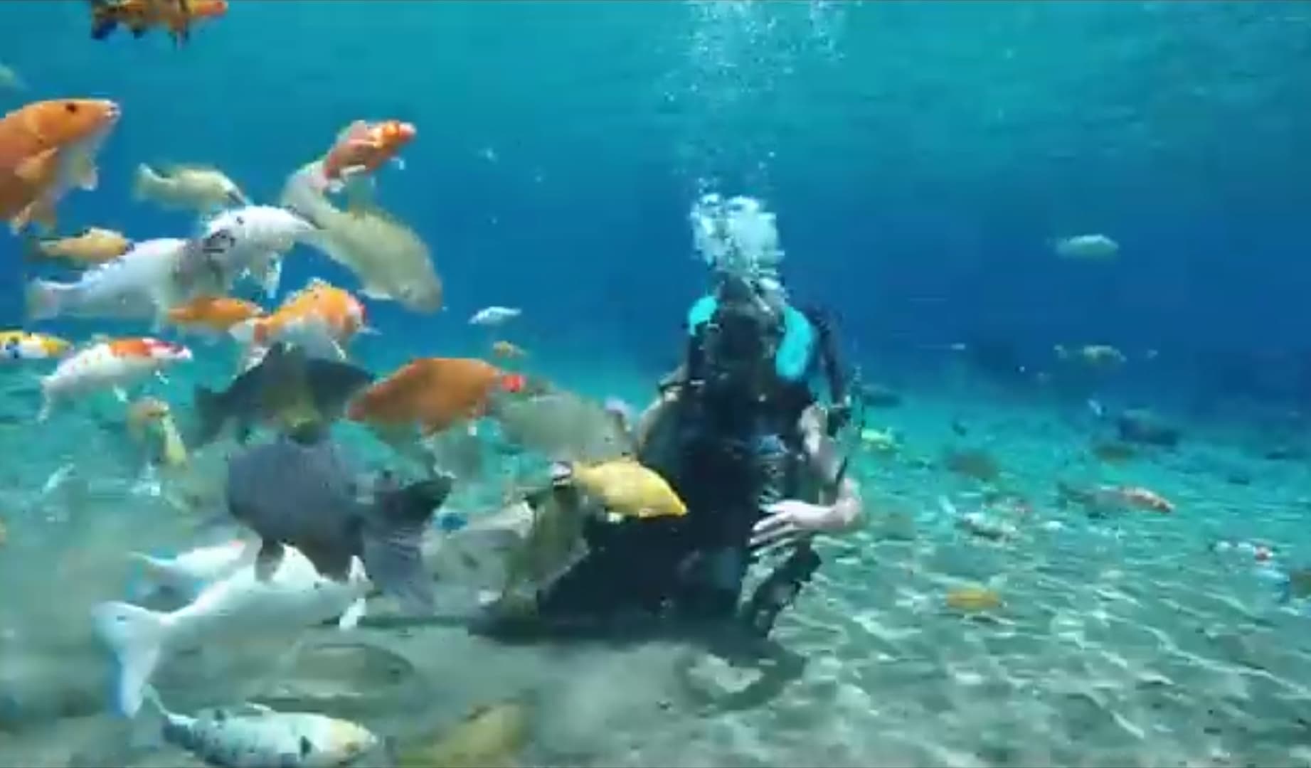 Desa Ponggok, Klaten: Surga Air Jernih di Tengah Jawa