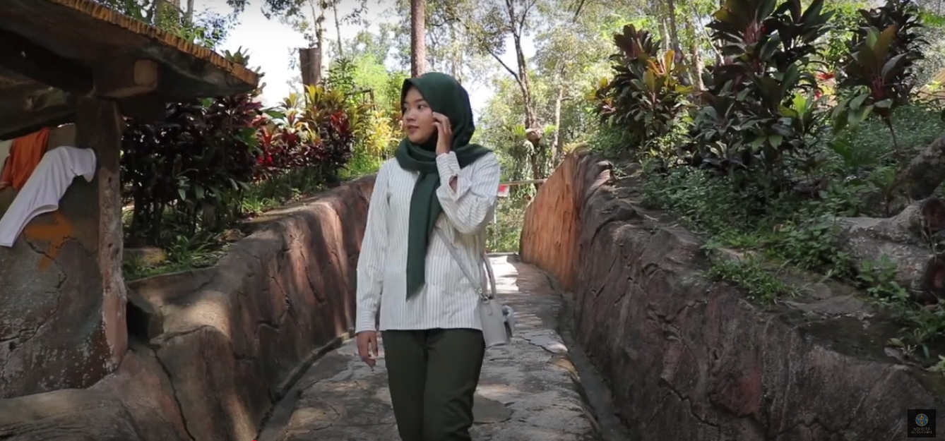 Hutan Mata Kucing: Surga Hijau di Tengah Hiruk-Pikuk Batam