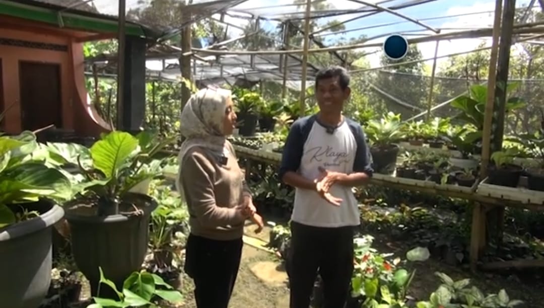 Galeri Tamansari, Desa Wisata Edukatif dan Ekonomi Kreatif di Lereng Lawu