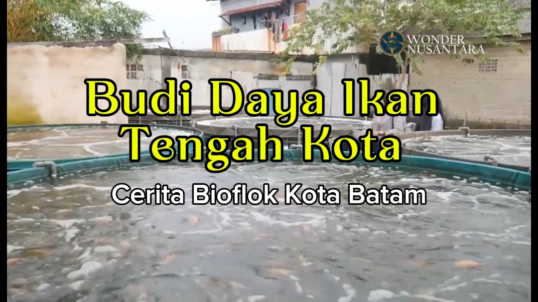 Budidaya Ikan Tengah Kota: Cerita Petani Ikan Bioflok Batam