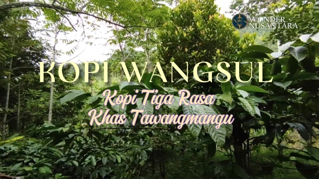 Kopi Wangsul: Kopi Unik dari Lereng Lawu