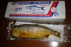Bandeng Presto Duri Lunak Juwana Spesial Oleh Oleh Khas Semarang