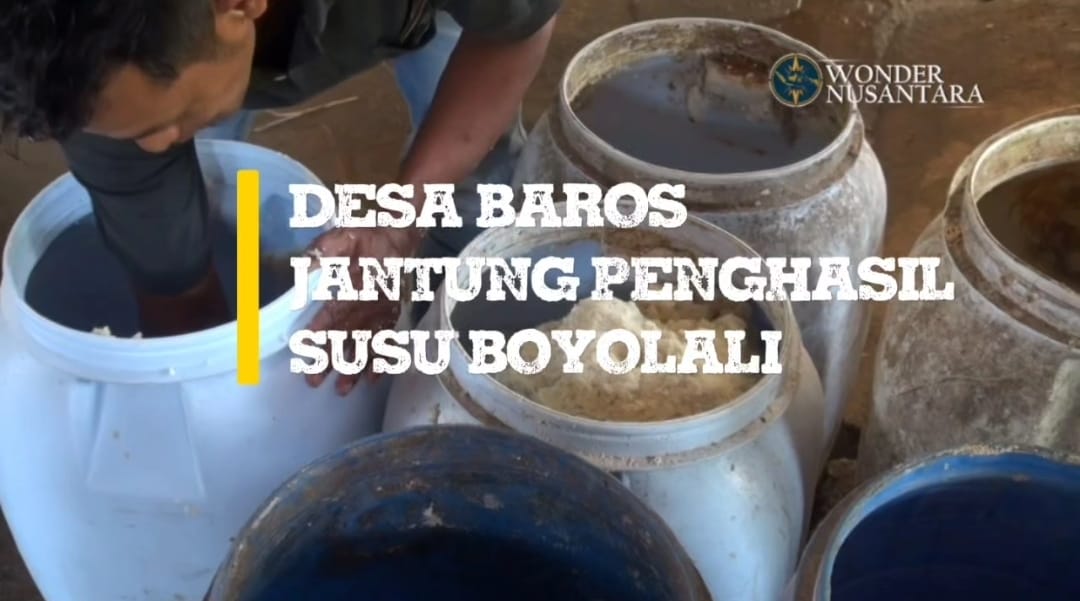 Desa Baros, Jantung Susu Boyolali