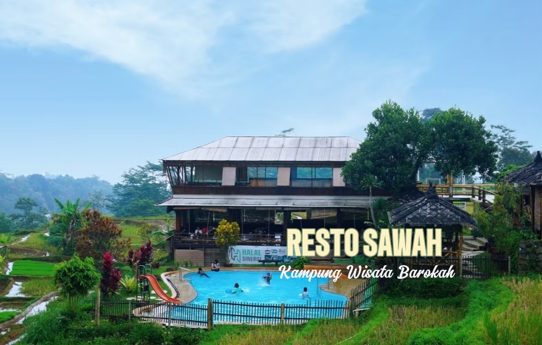Resto Sawah: Ketika Makan Menjadi Cara Menikmati Alam