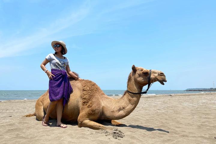 Safari Beach Batang Jateng — Wisata Satwa Unik di Tepi Pantai