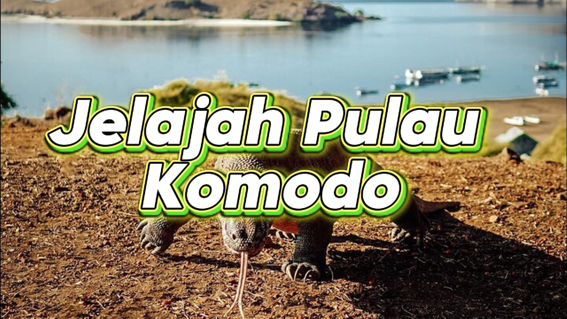 Sehari Jelajah Pulau Komodo!