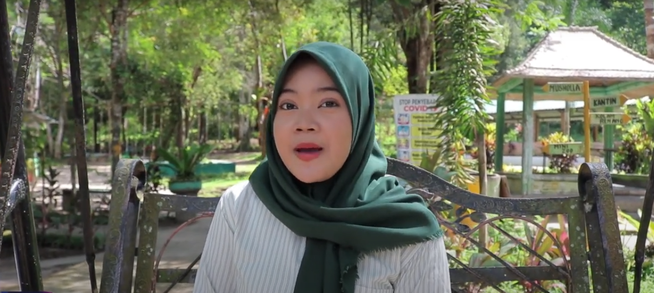 Hutan Mata Kucing: Surga Hijau di Tengah Hiruk-Pikuk Batam