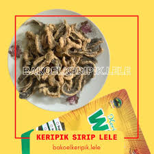 Keripik Sirip Lele Oleh Oleh Khas Boyolali