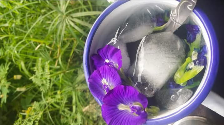 Galeri Warung Mba Nurhayati – Kopi Kletak & Soto Sawah, Temas – Batu