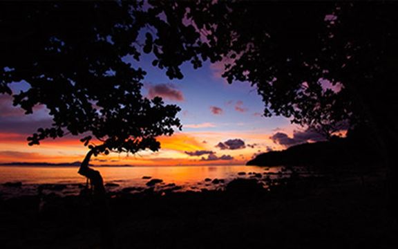 Galeri The Pade Dive Resort Aceh